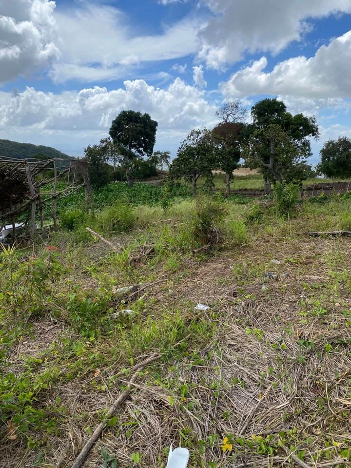 Solar en Venta en Loma del Aguacate, Santiago | 1000 m² con Vista a Santiago